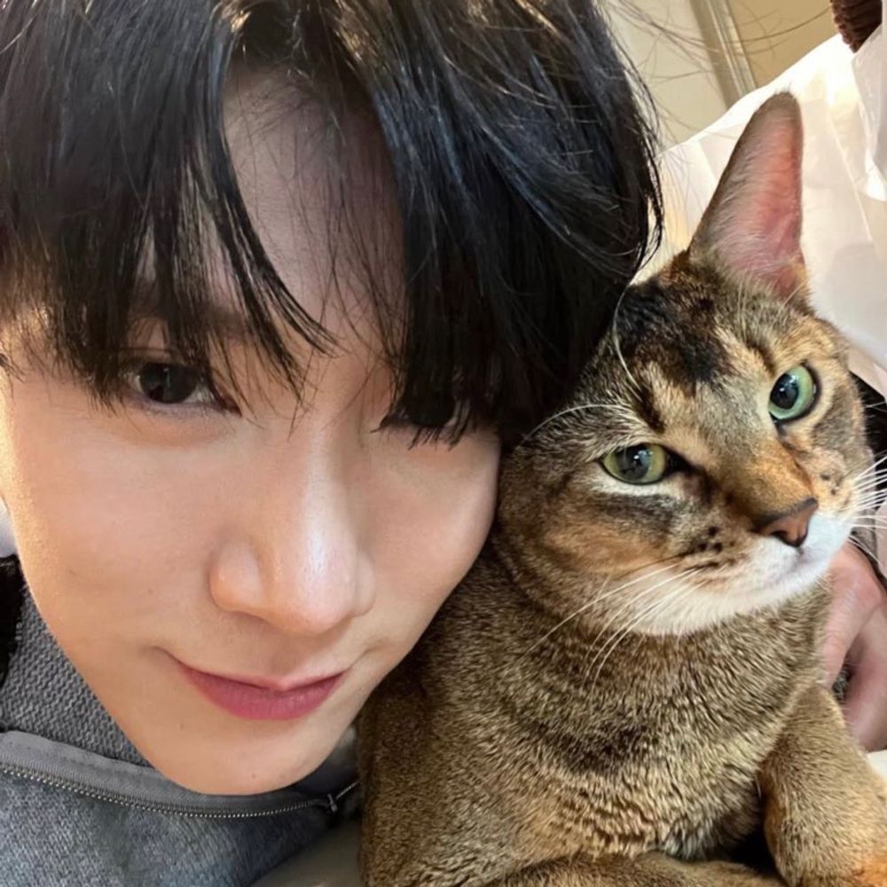 di3tr1ct9.bsky.social