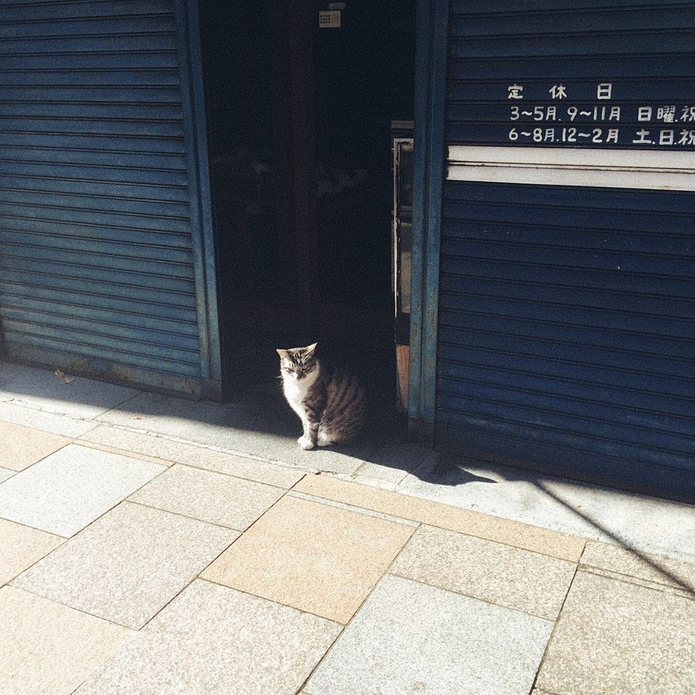 友梨