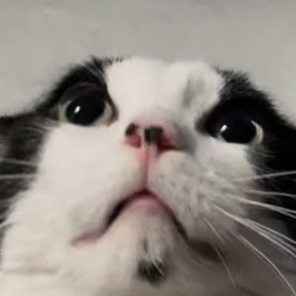 Tor