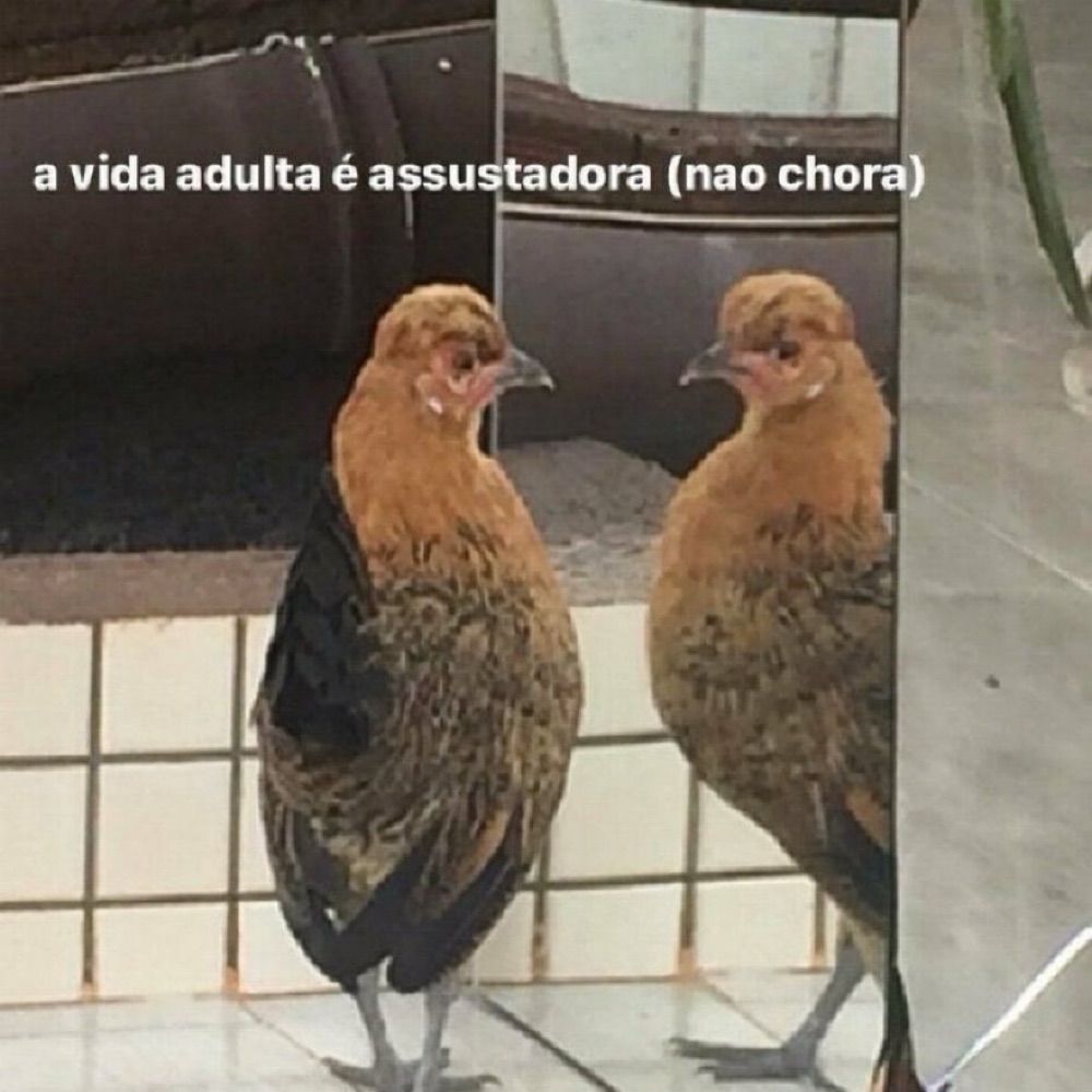 ~gabizinha
