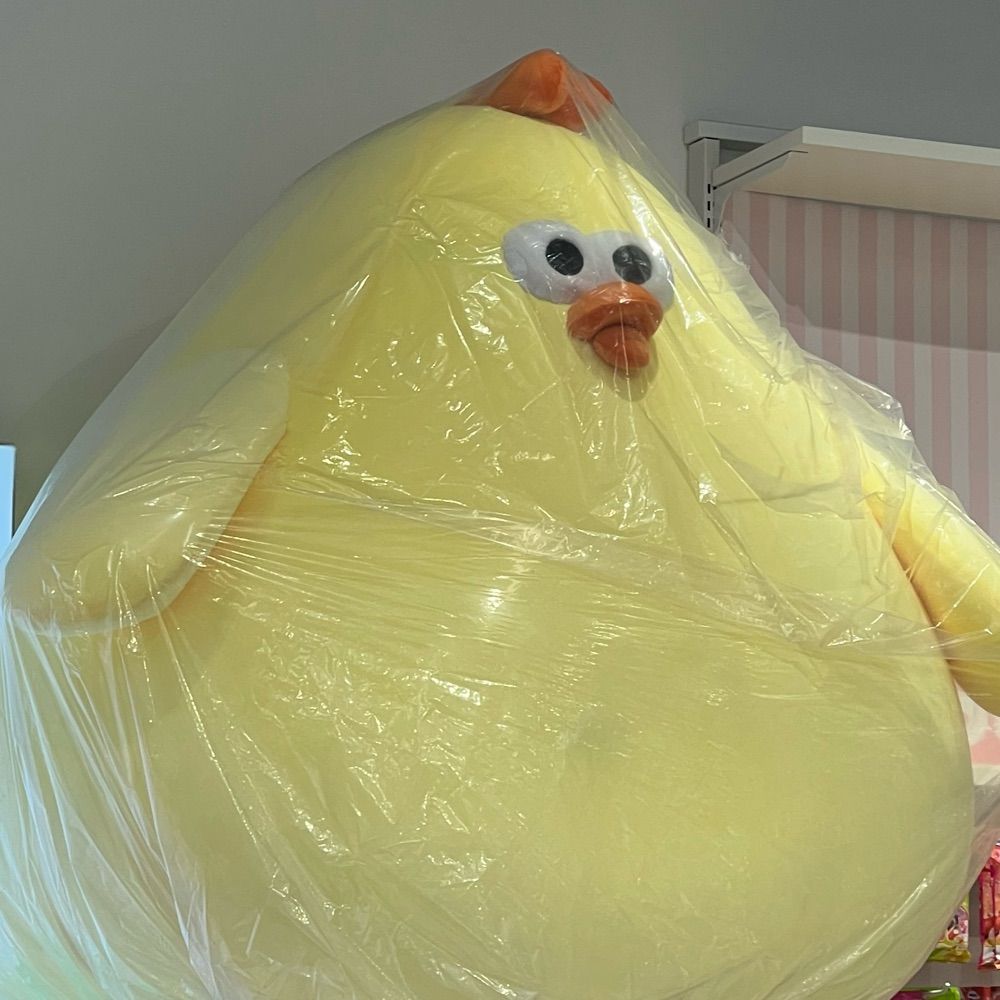 Minimeatjun
