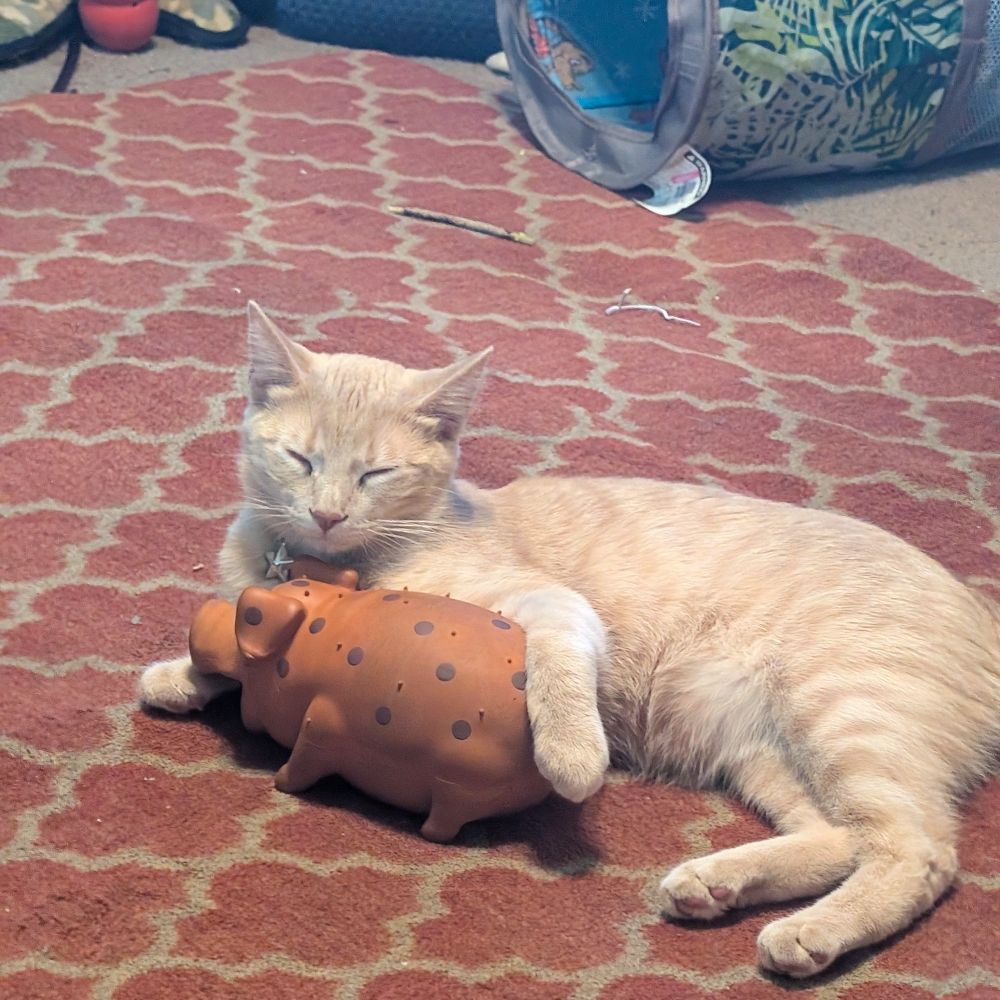 Eugene