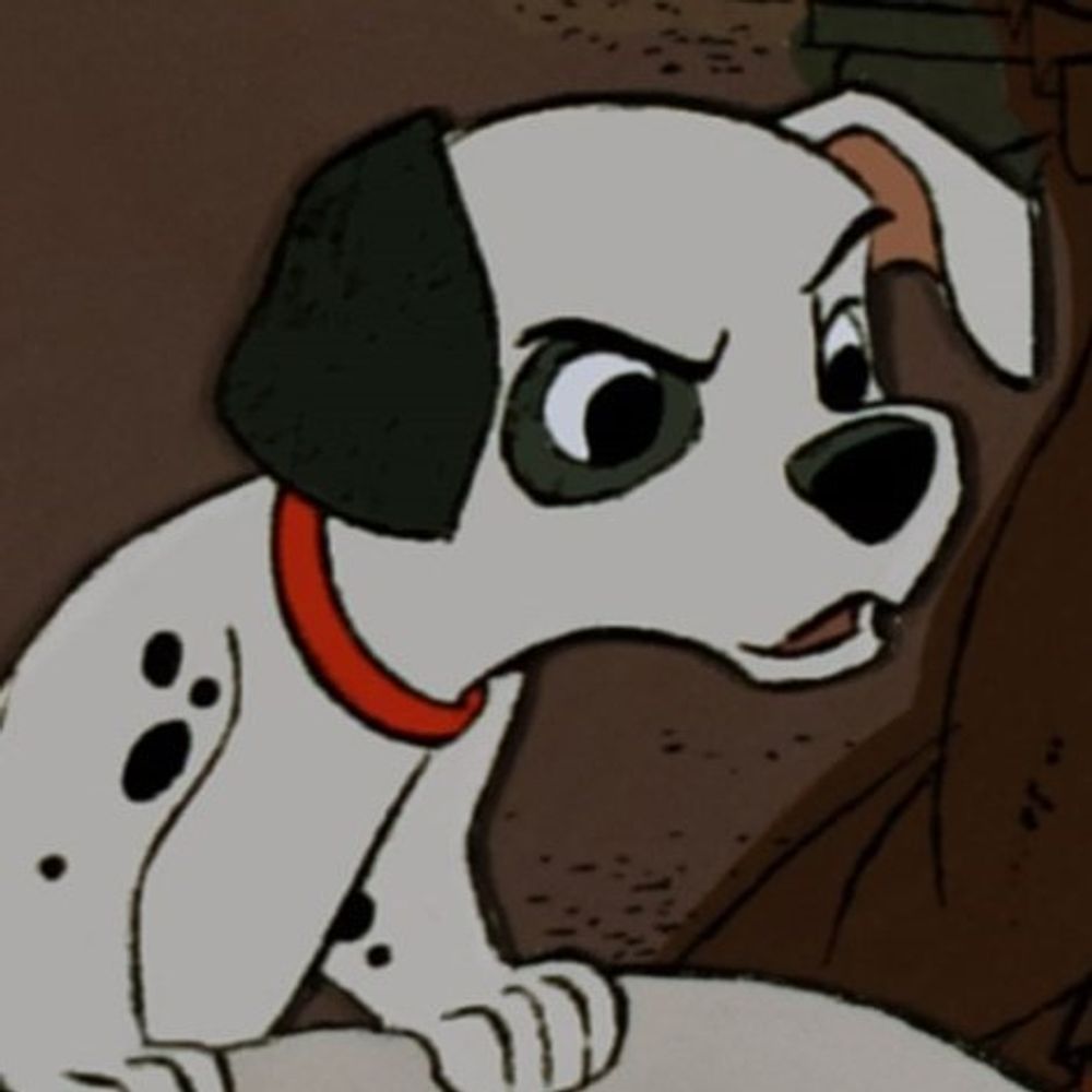 Wiseboy