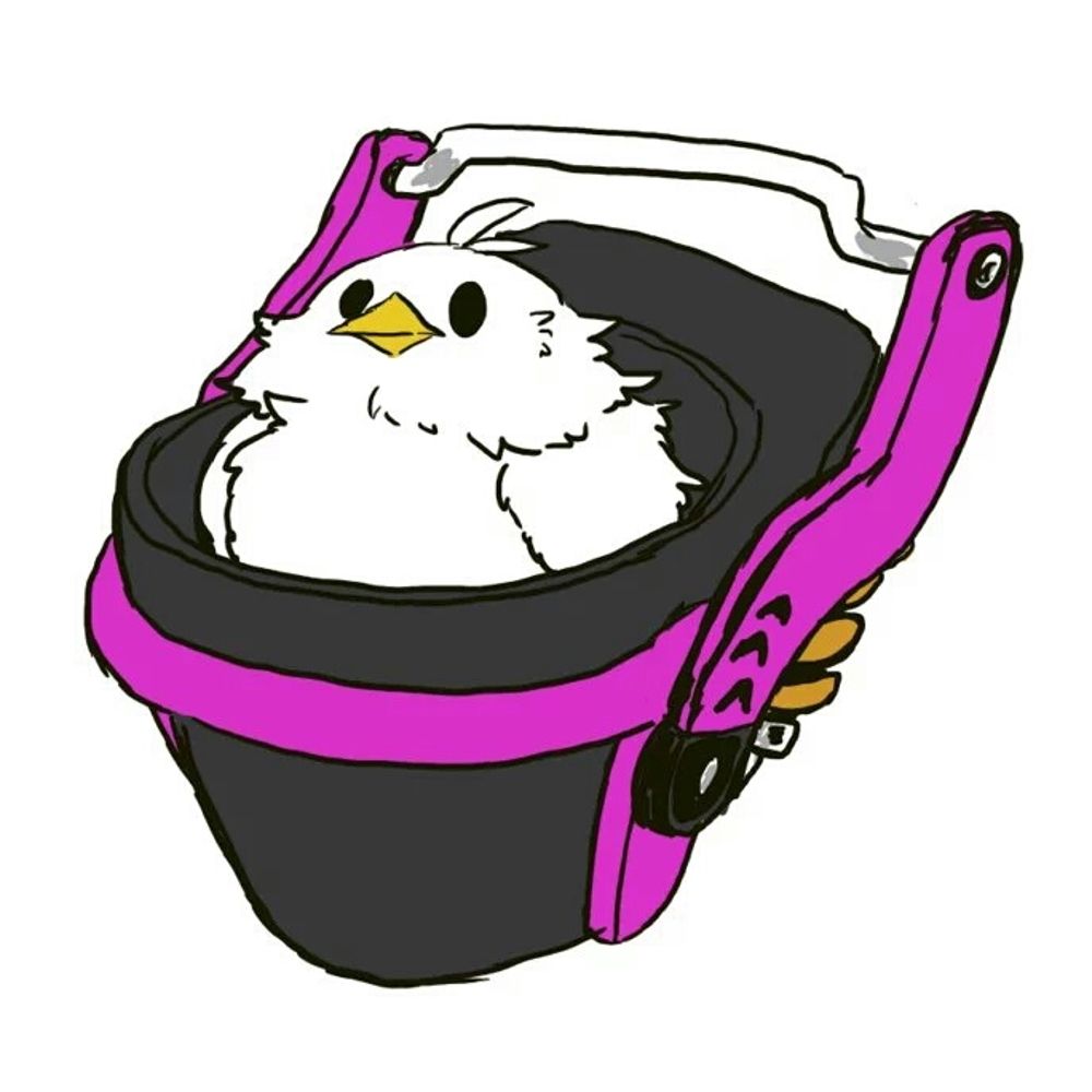 鳥類178