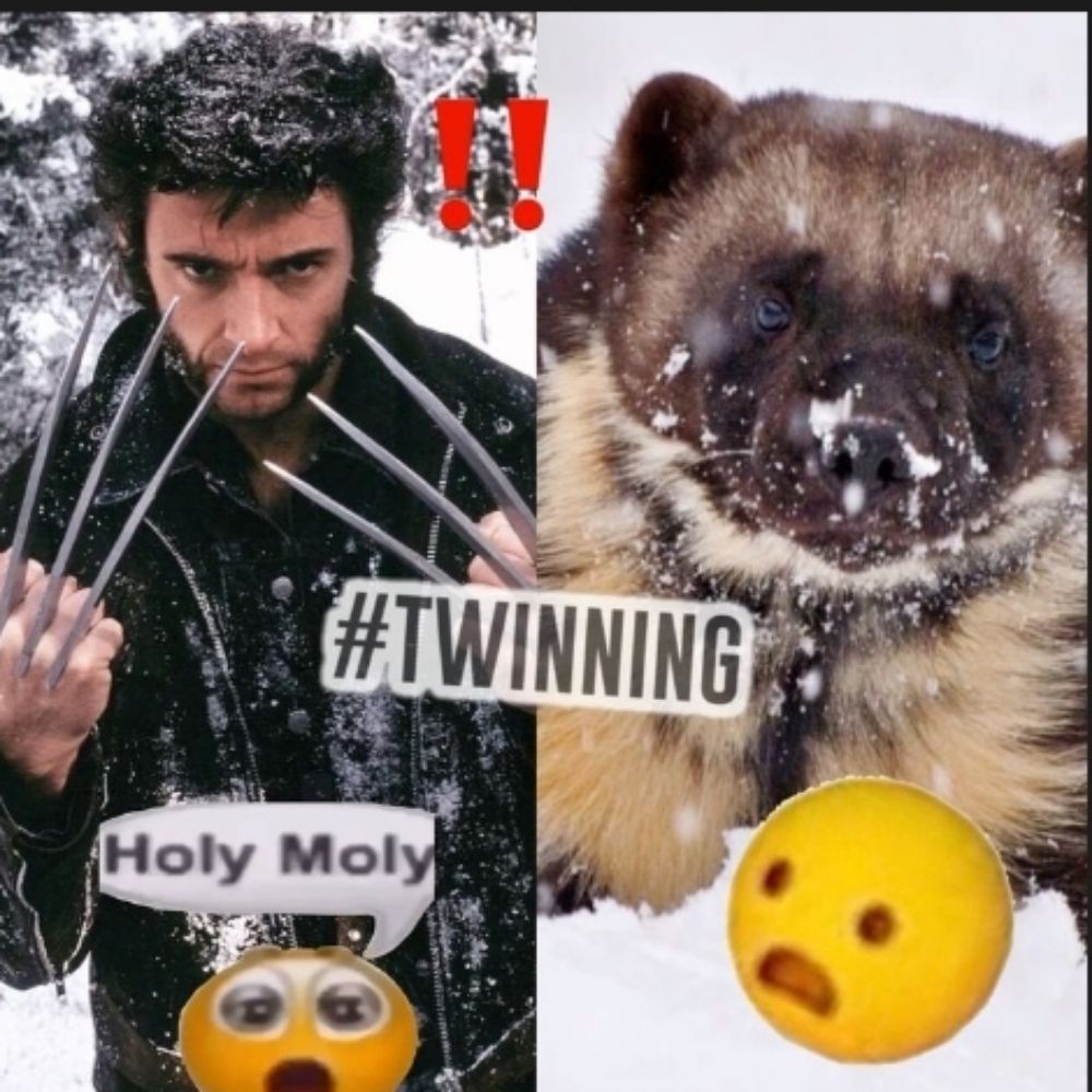 hugh jackman daily
