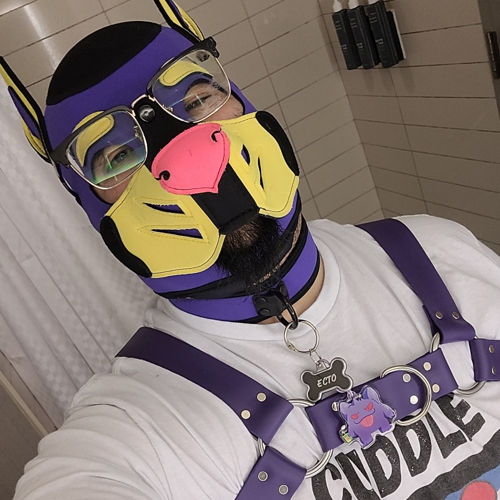 Pup Ecto