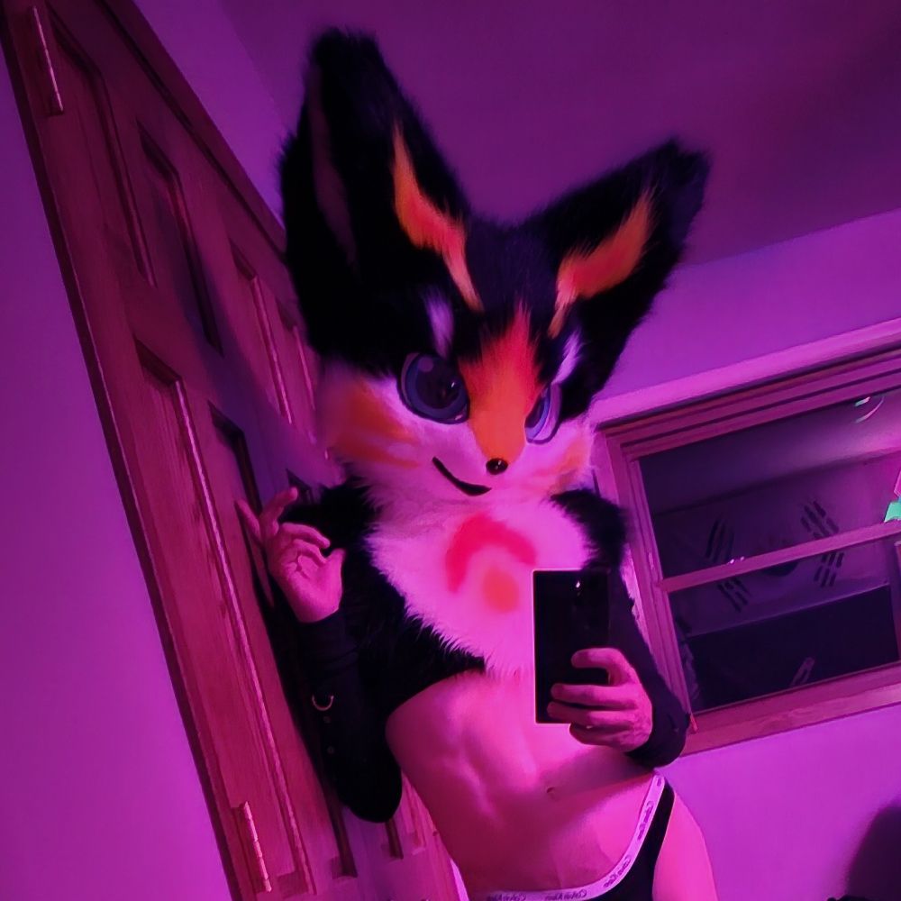 Ash 🦊