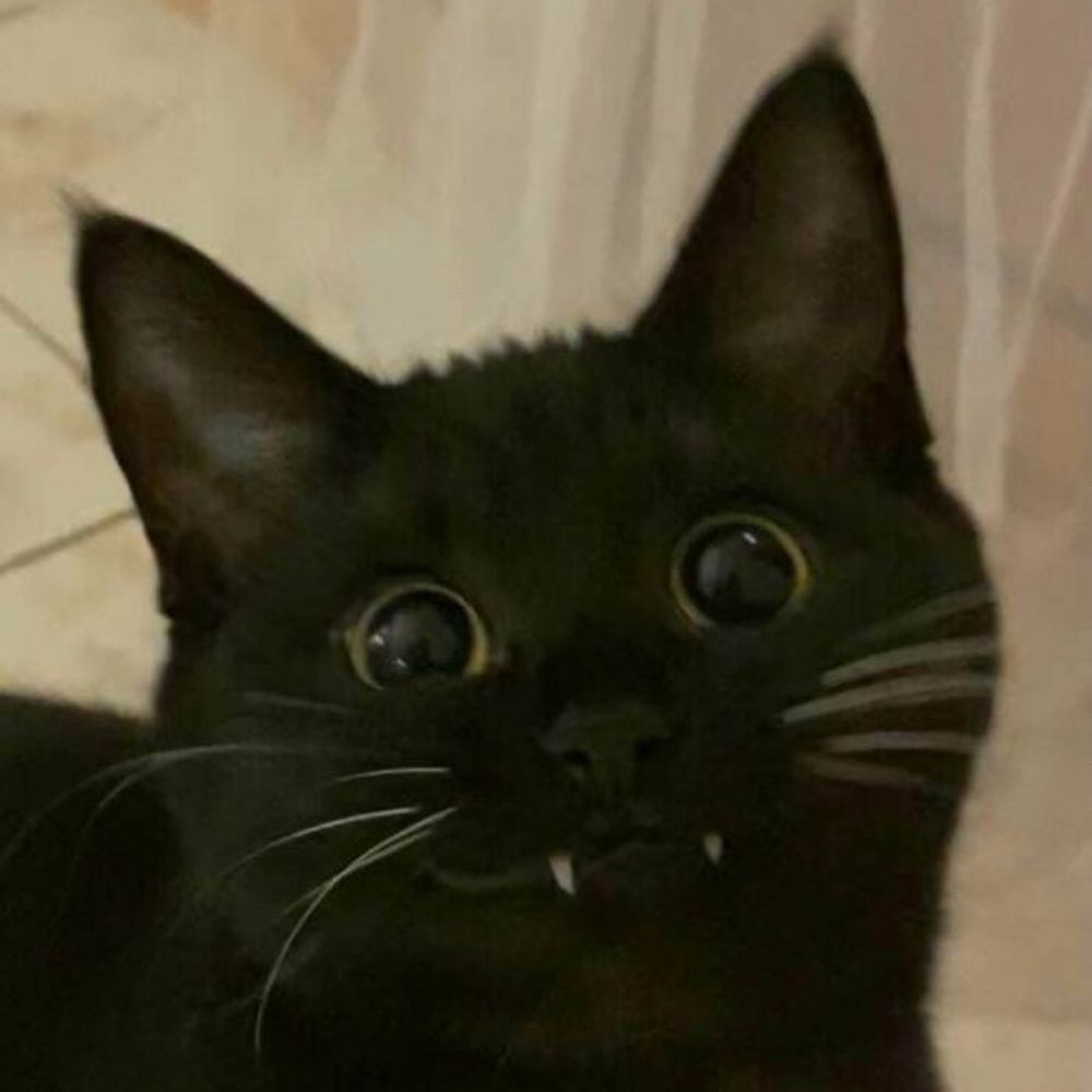Friendly Demon