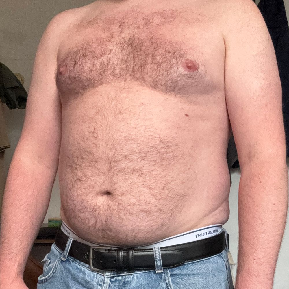 beef stu