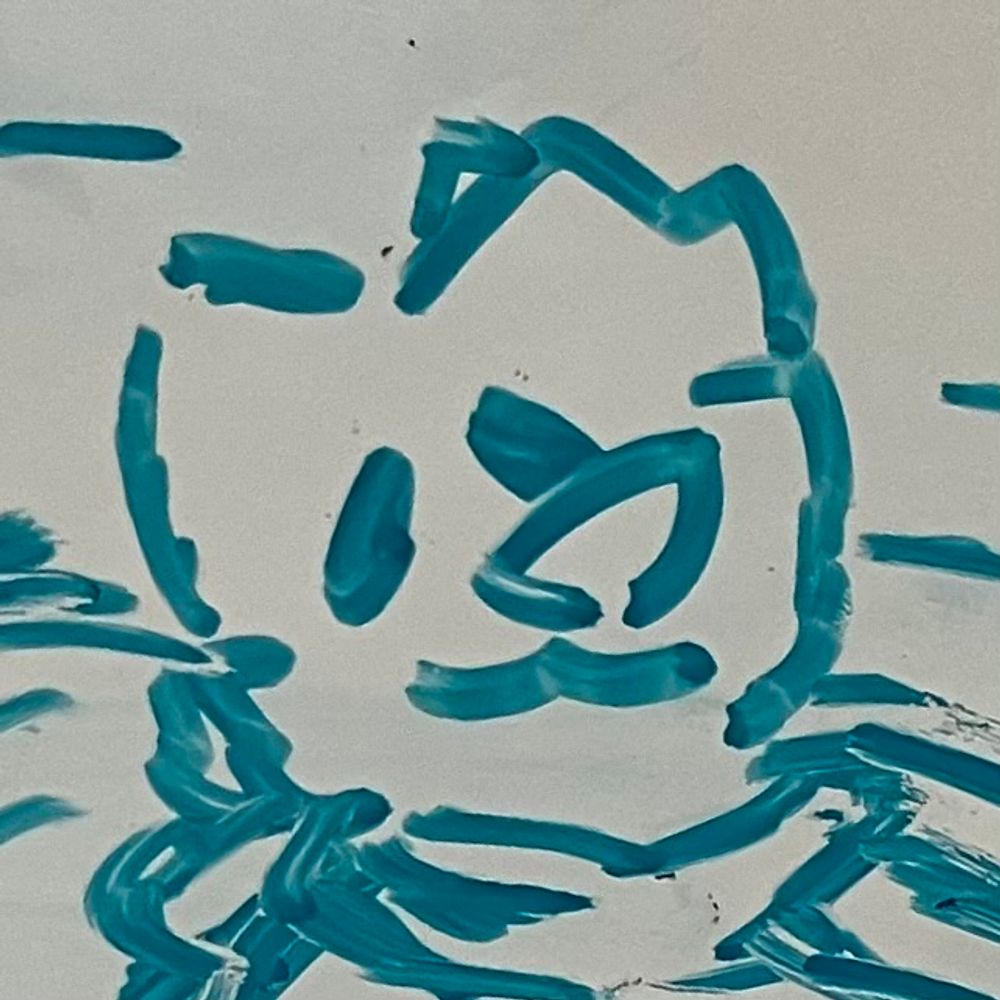 JacobTurtle