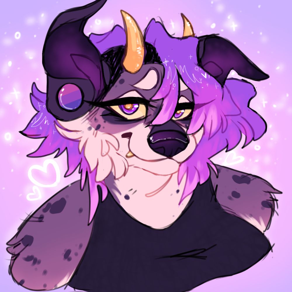 🌙 Pine 🌙