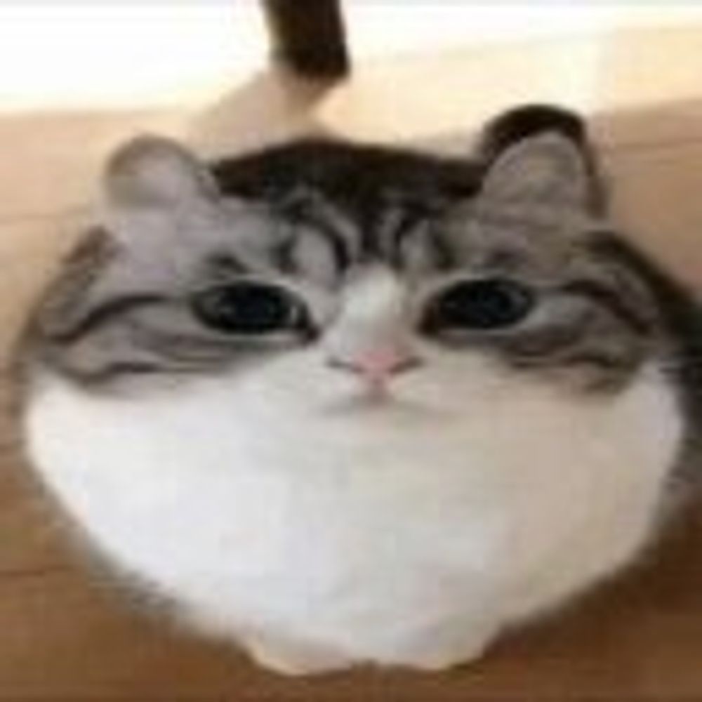 Dimitri