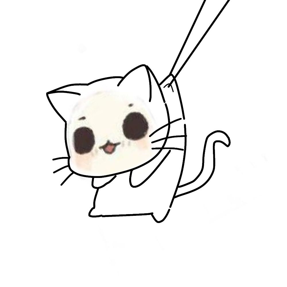 老猫にゃ～ん