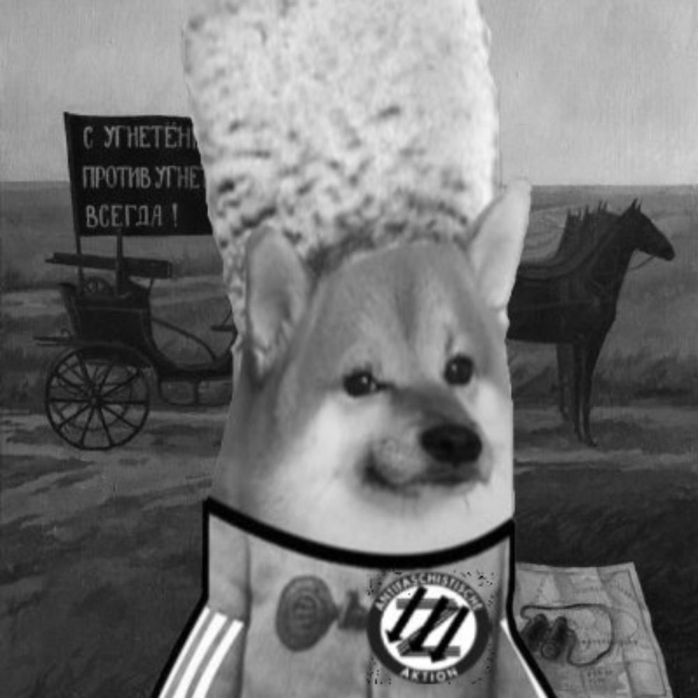 Anarcho-Fella 🇵🇸 🇺🇦✡️🏴
