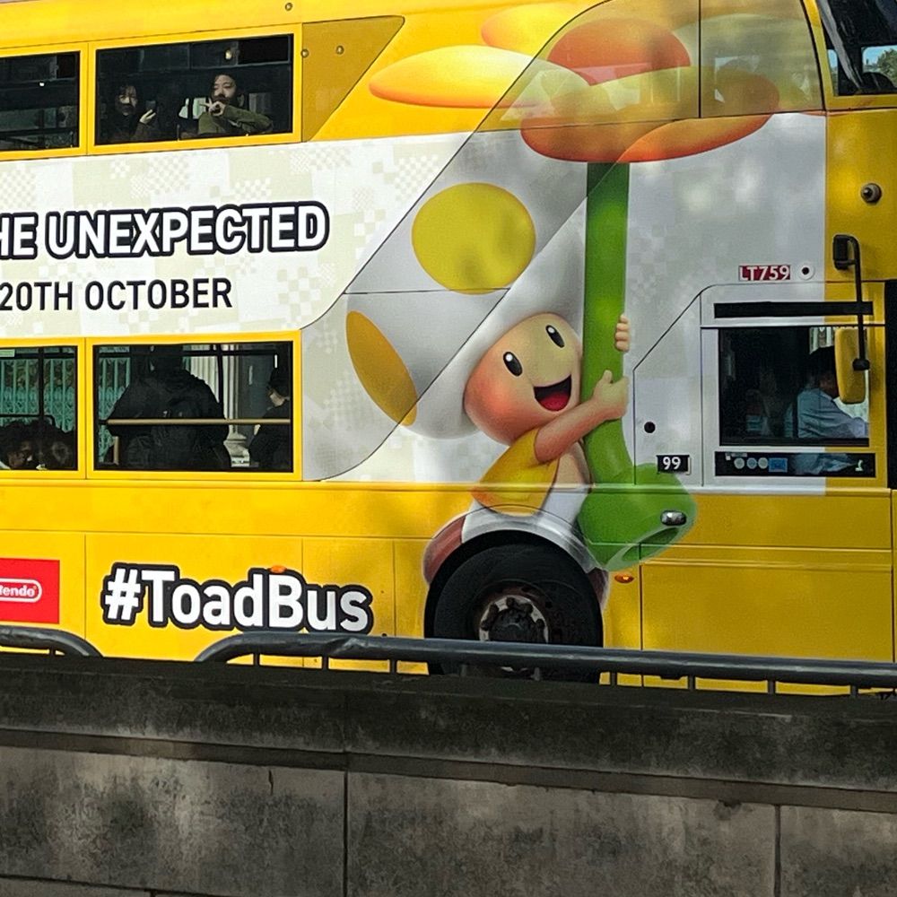 Toad Bus