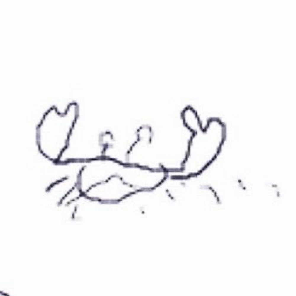がはま