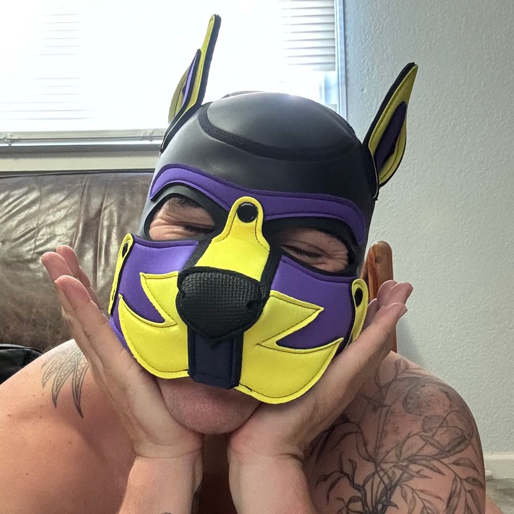 Pup Polrrr