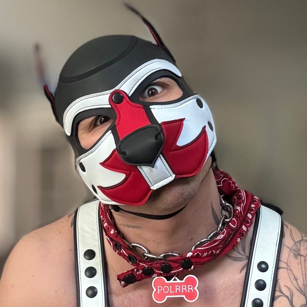 Pup Polrrr