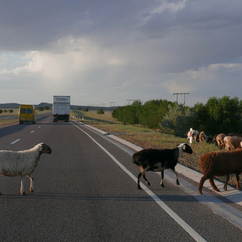 Roadsides