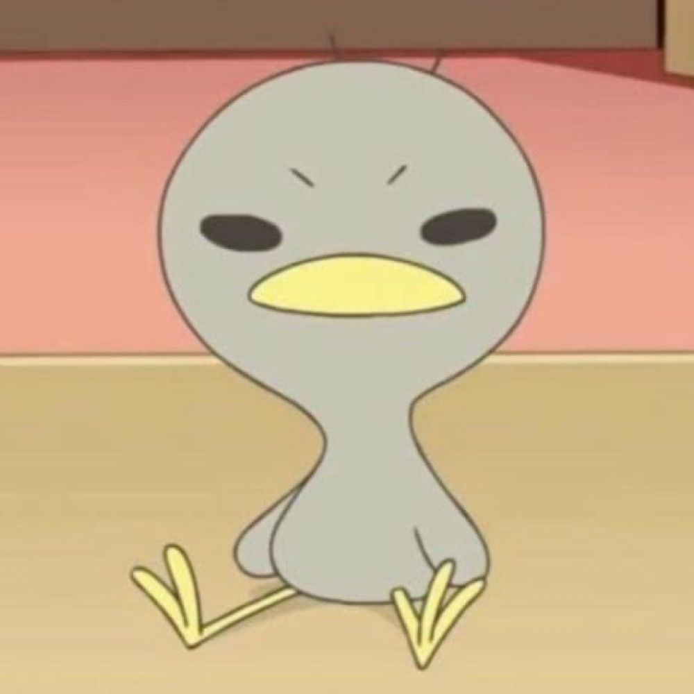 뽀삐