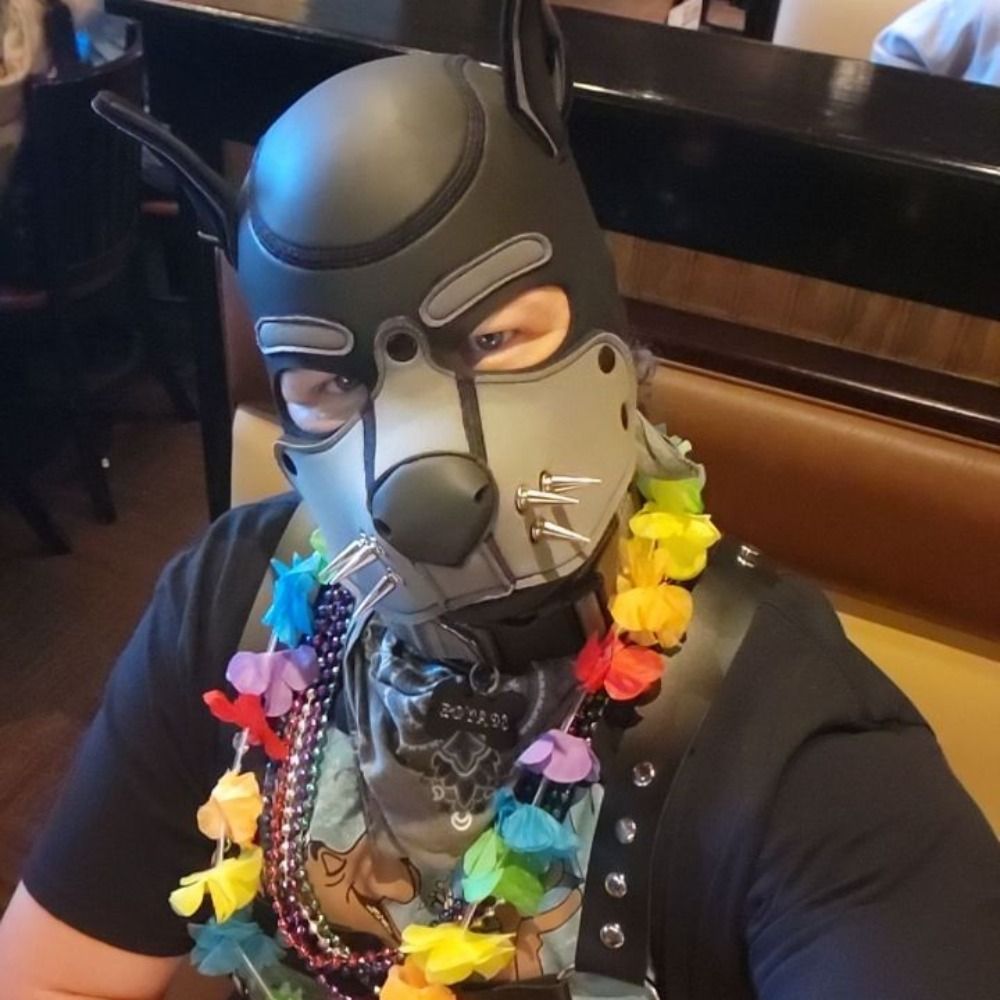 Pup_Spayde