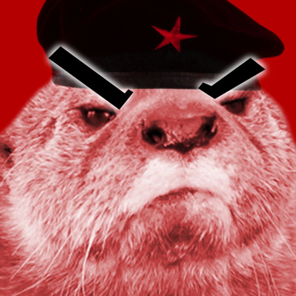 Grouchy Socialists