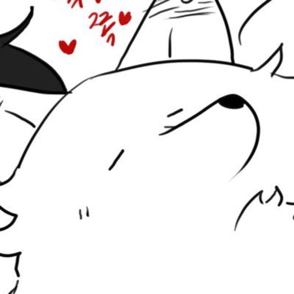 곰냥