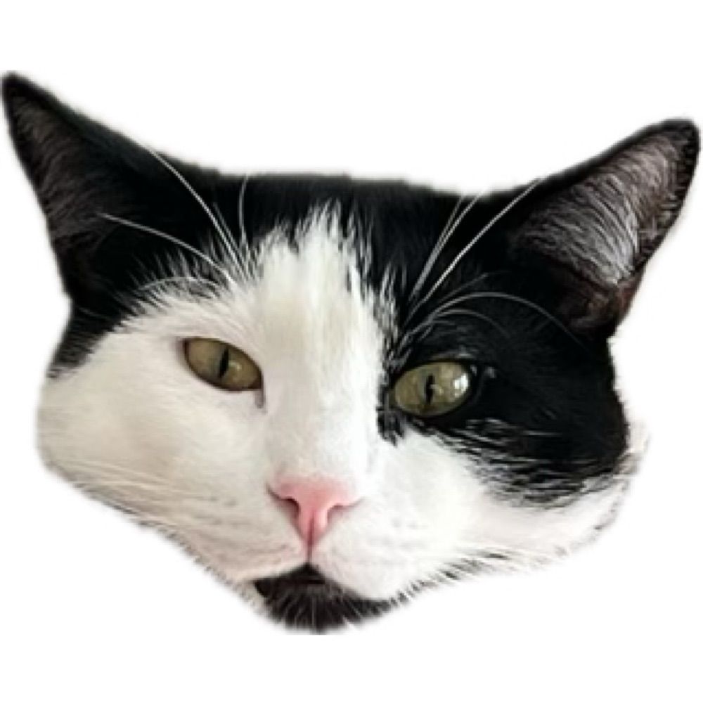 ratul