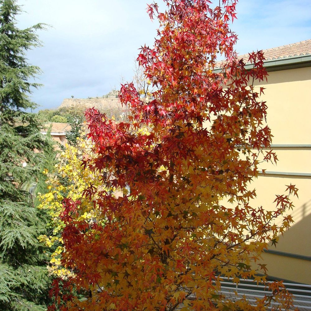 Biblioteca de la EASP