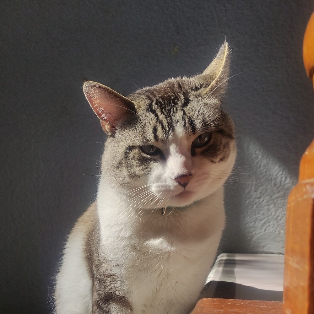 TOM