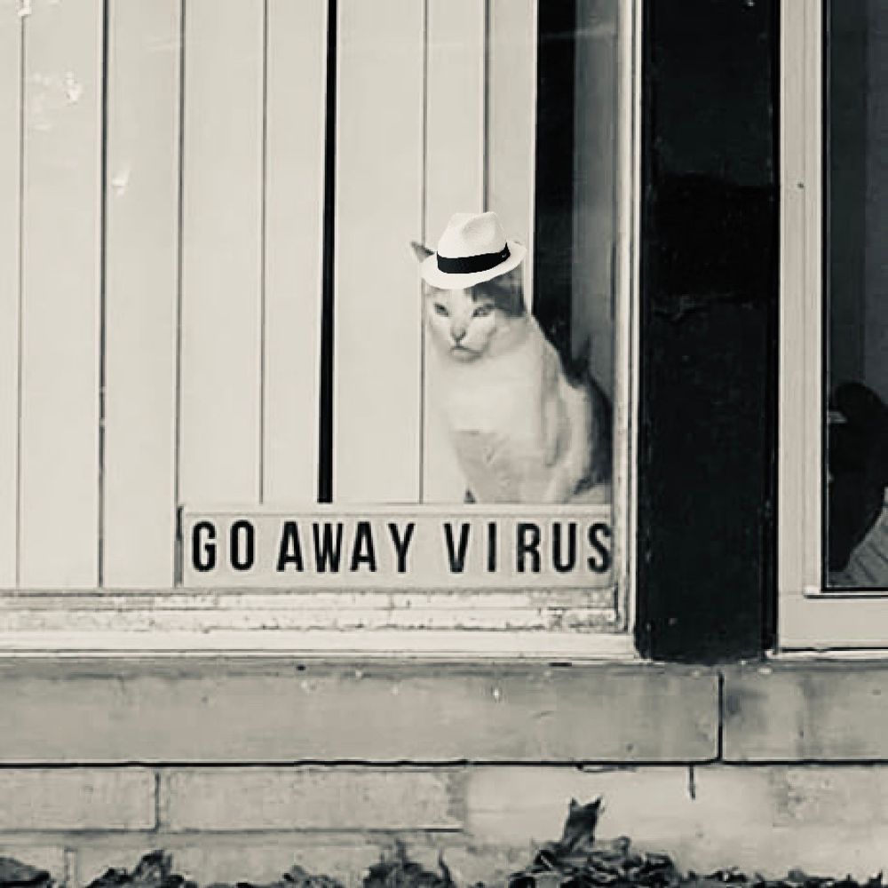 bluearrowsneo.bsky.social profile picture