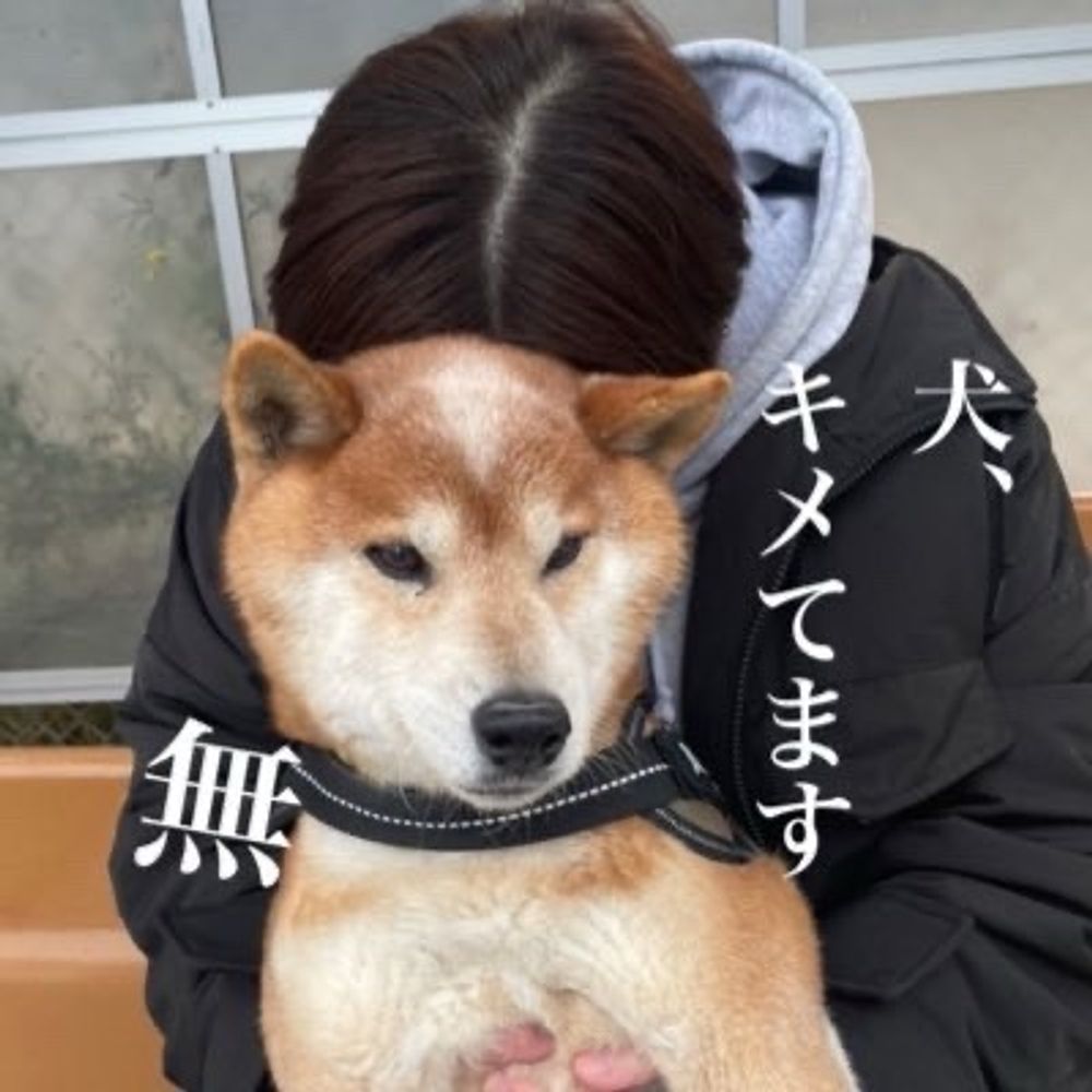 きのこ ぴとみん🐬@🏂要冷蔵⛄️