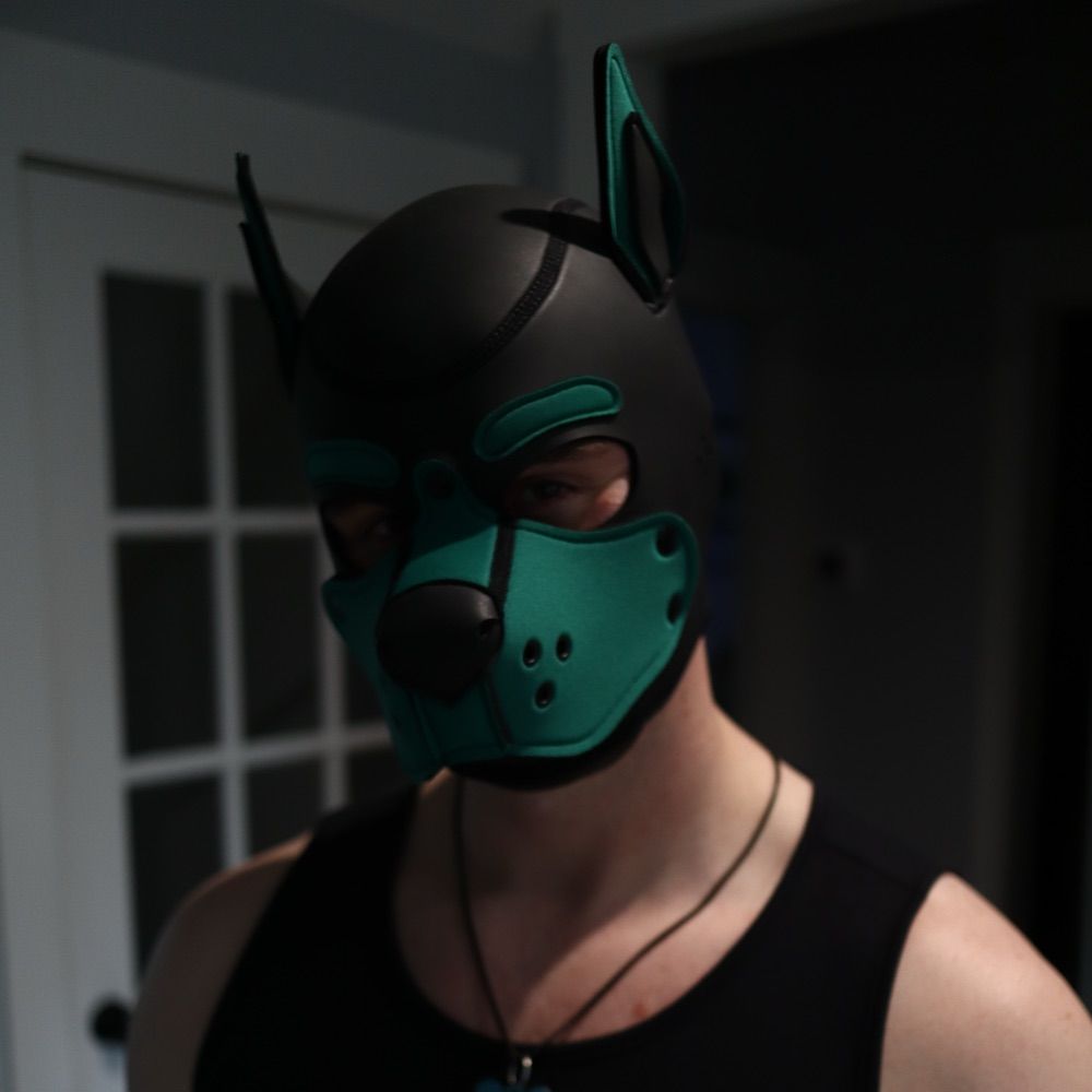 Nikko the Guhboy