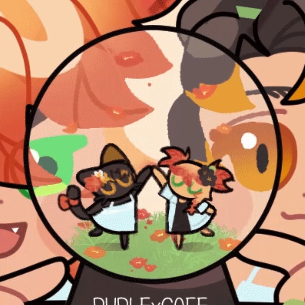 뽀끼
