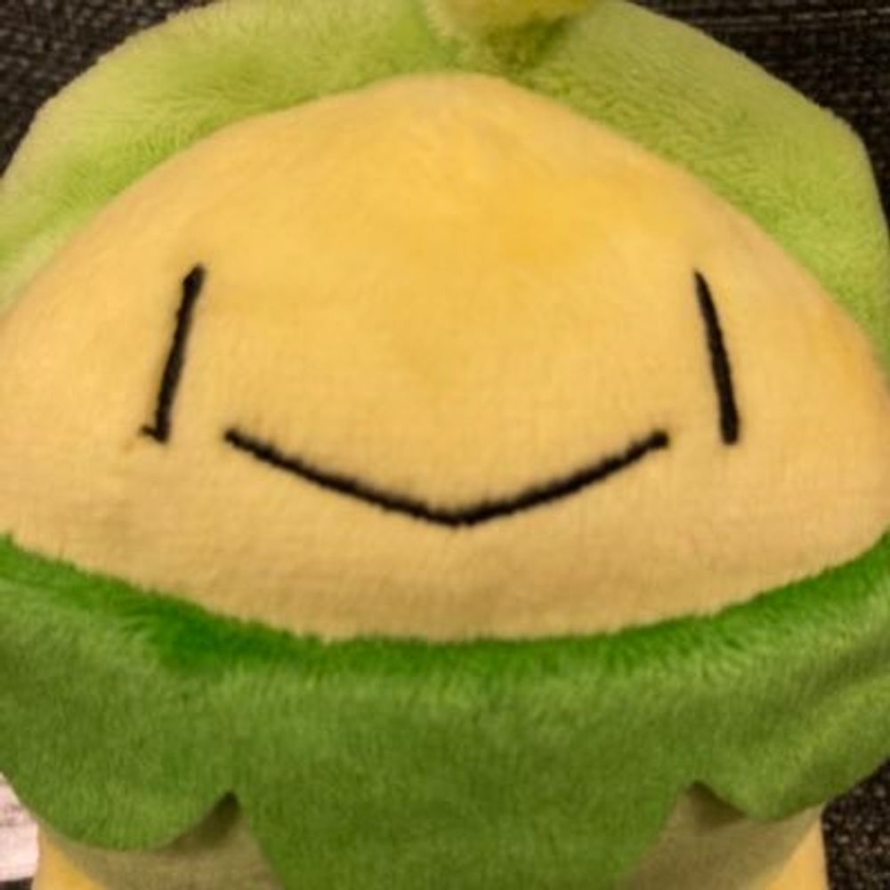 ねひょ