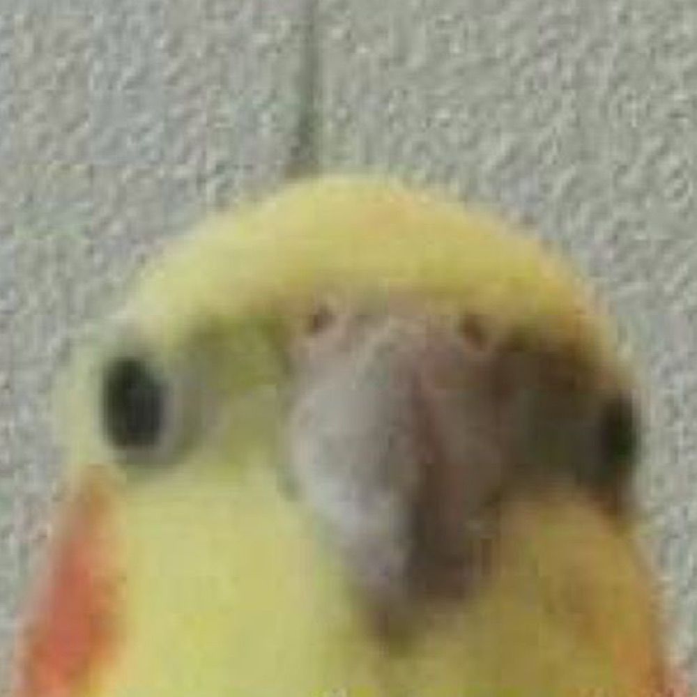 Franek