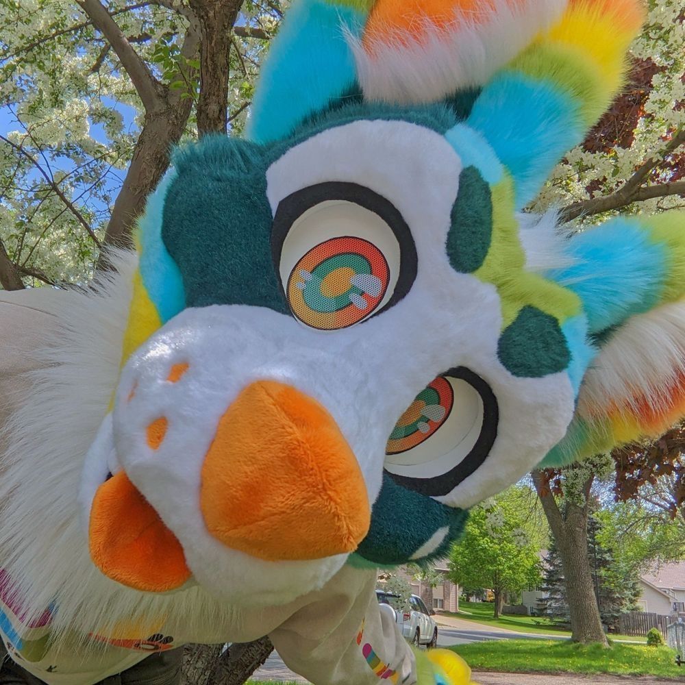  ɢɪɴᴏ🩵💚💛🧡