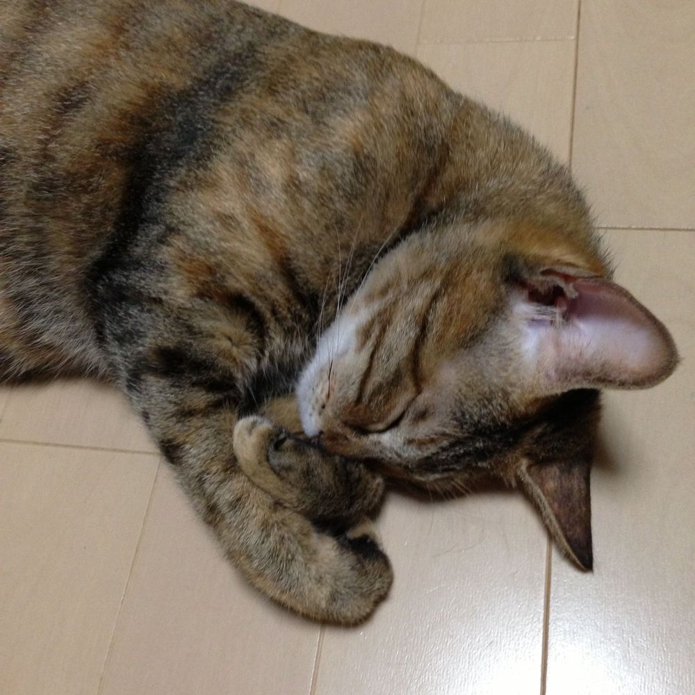 ばん
