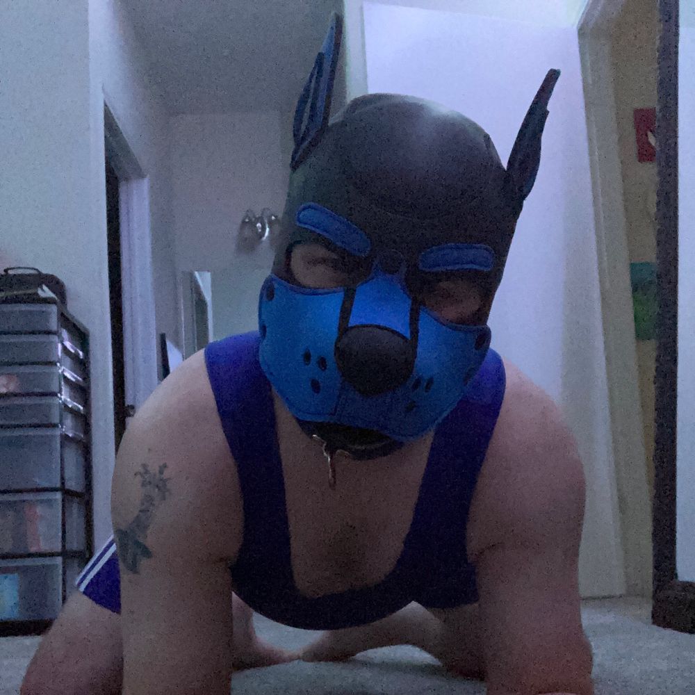 Sparky Puppy