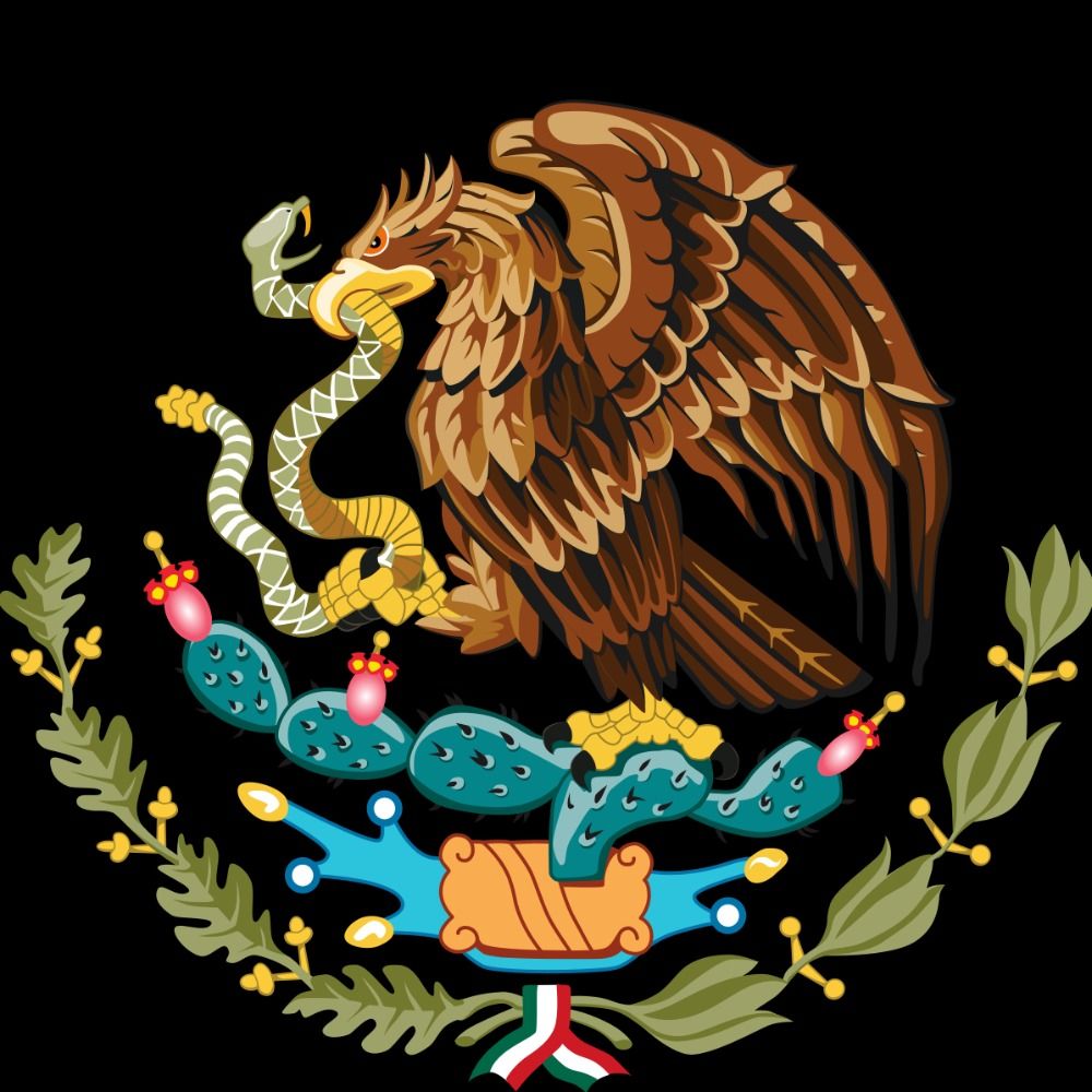 Mexico News's avatar