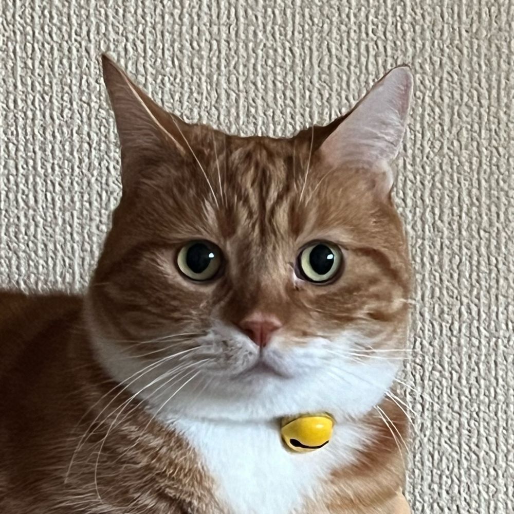 ぶーちゃん