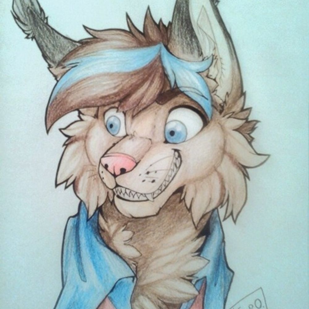 Timhey Lynx