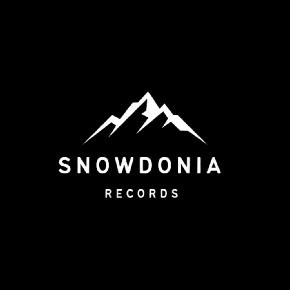 Profile picture snowdoniarecords.bsky.social