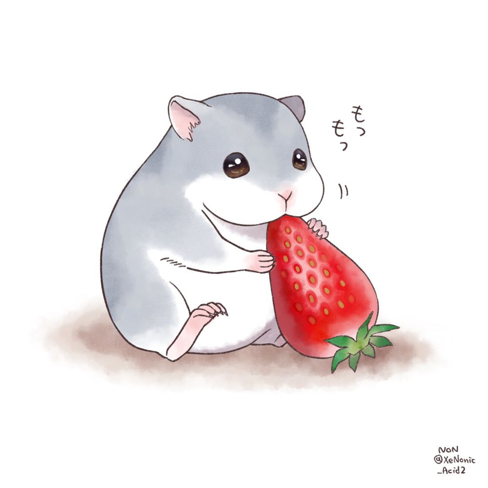nonさんの公垢