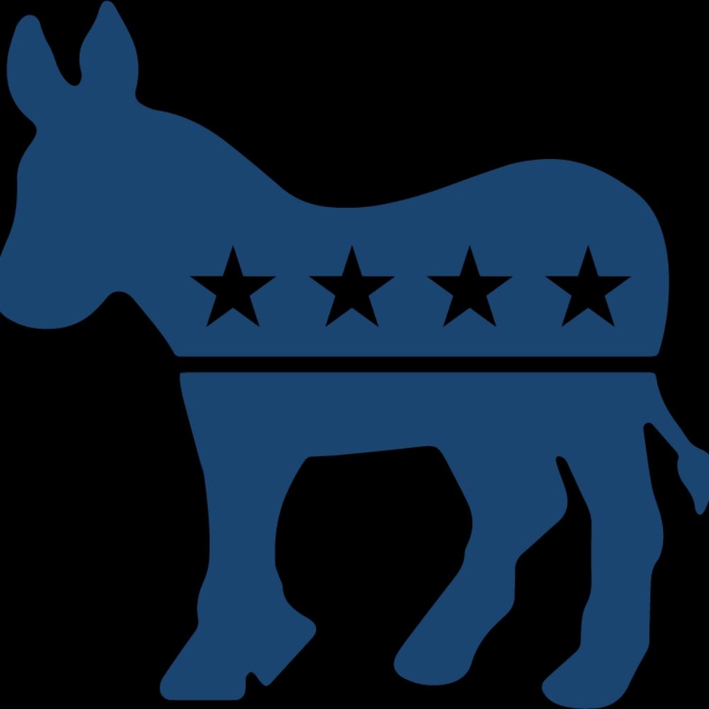 Profile picture dupagedemocrats.bsky.social