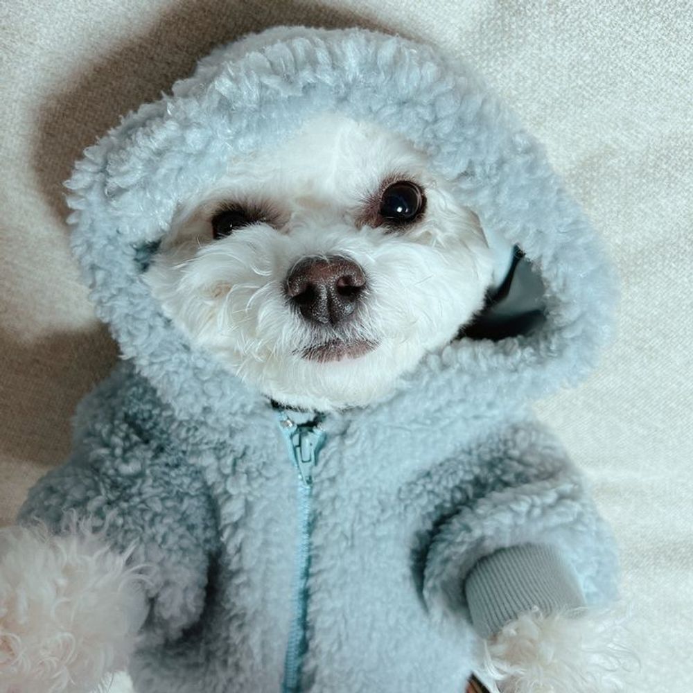 Bebe
