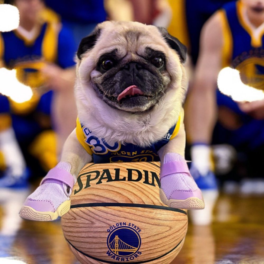 Pugs>people ✌️