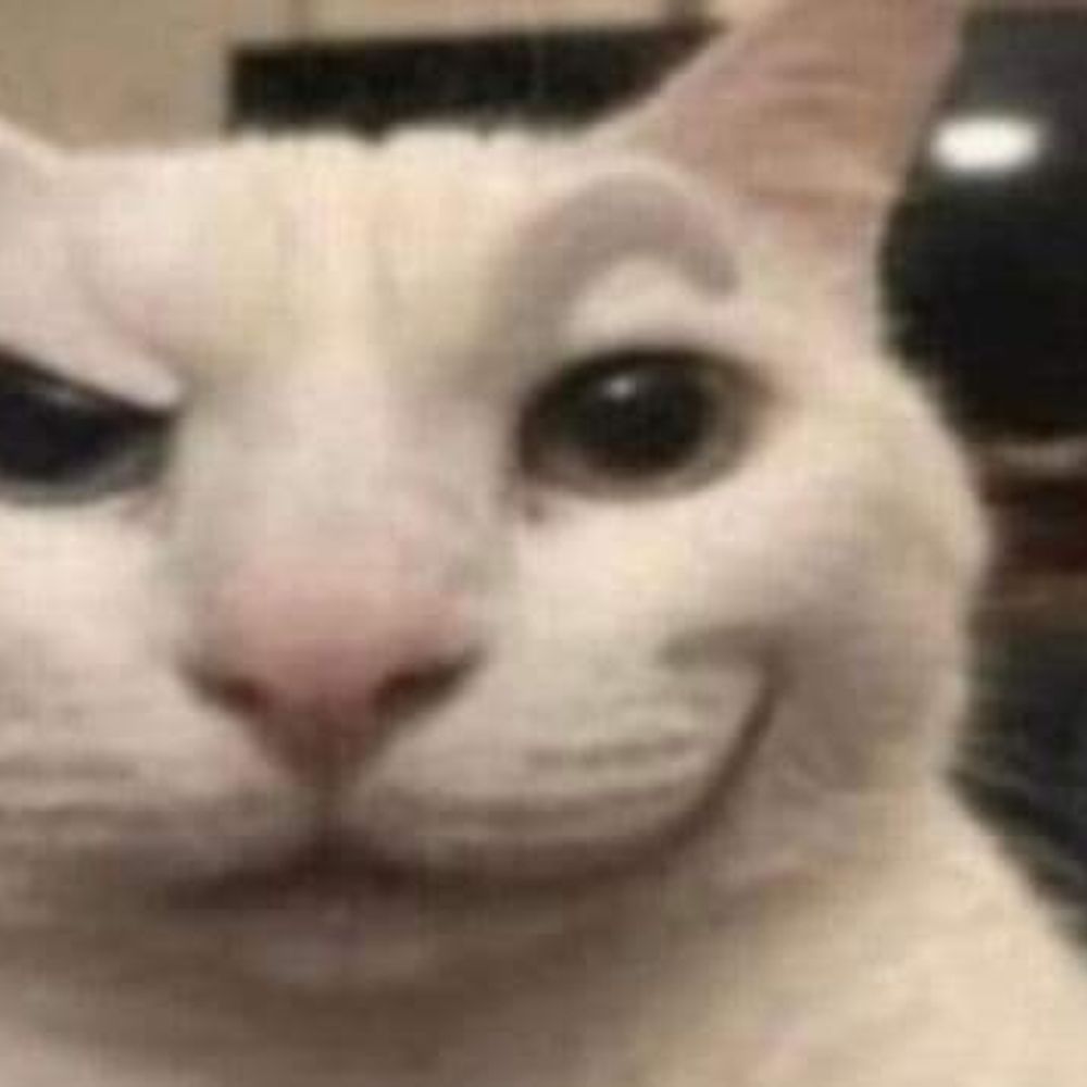 Oshiro cat 