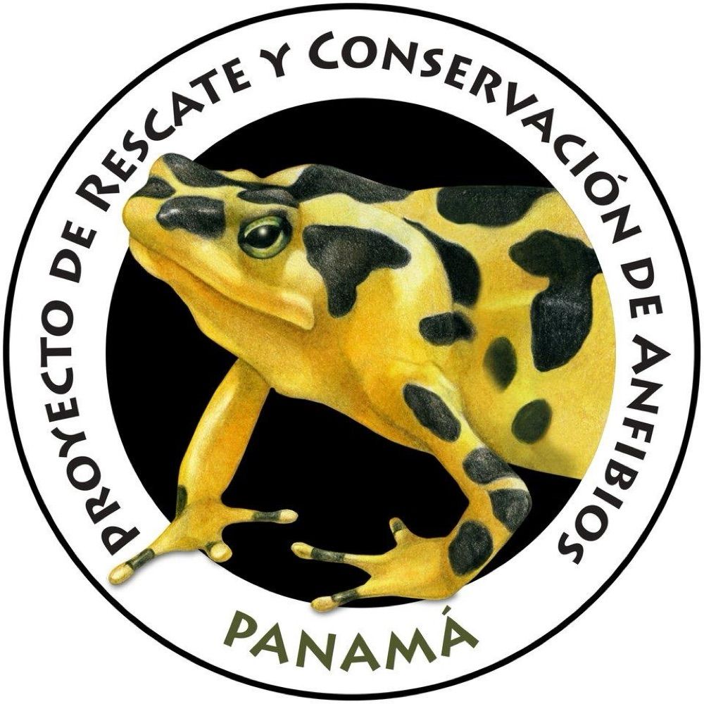 Panamá Amphibian Rescue and Conservation Project