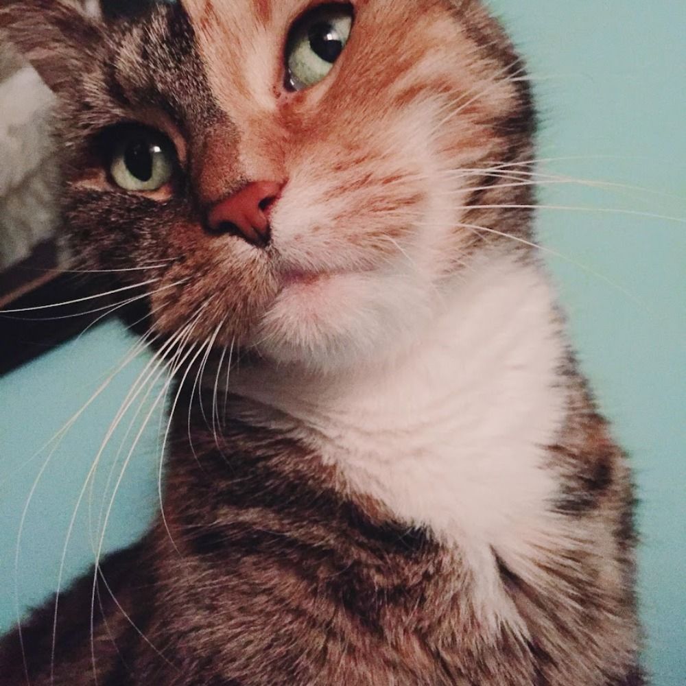 Mindy 🌺